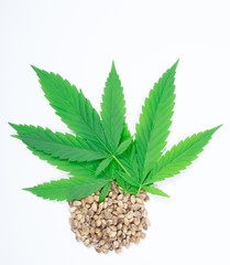 Cannabis leaf and seeds isolated on white. Close Up.