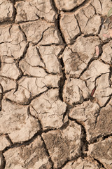 Dry Earth
