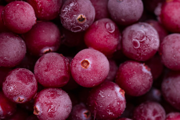 Close up of frozen cranberries
