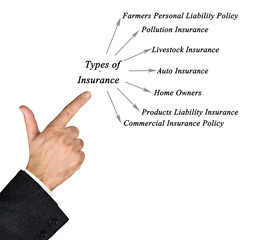 Types of Insurance