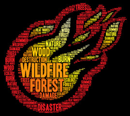 Wildfire word cloud concept