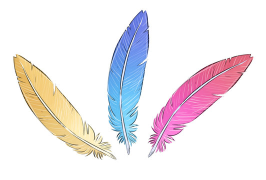 dibujo de plumas de colores