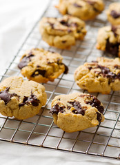 oatmeal cookies with chocolate