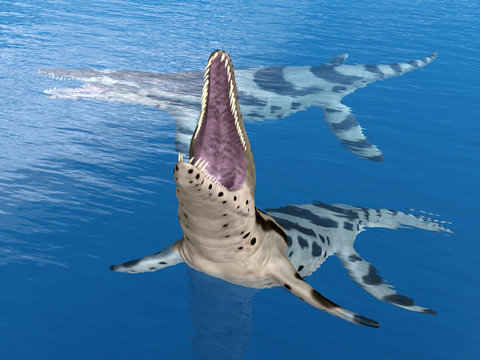 Pliosaur Kronosaurus