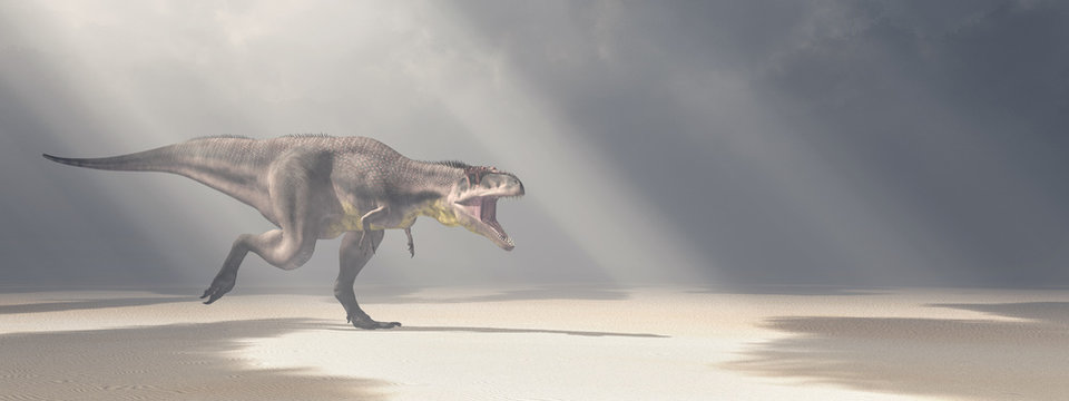 Dinosaur Tyrannotitan in the desert