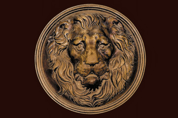 A Lion Face