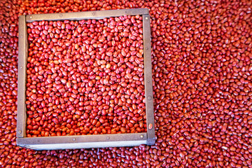 Azuki bean background