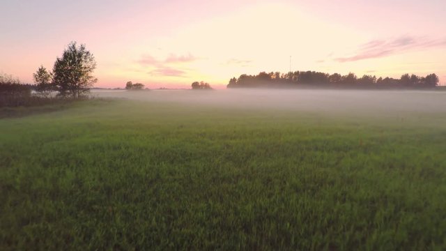 Evening fog over green field. Aerial footage. Beautiful sunset with colorful sky.