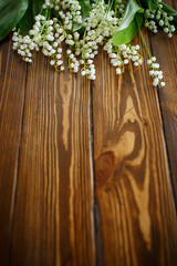 blooming lily of the valley