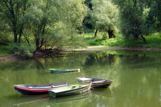 Naturschutzgebiet Siegaue