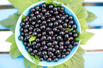 Plate with a currant top view.