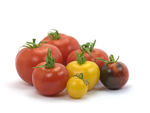 Tomaten, Solanum lycopersicum, Tomatoes
