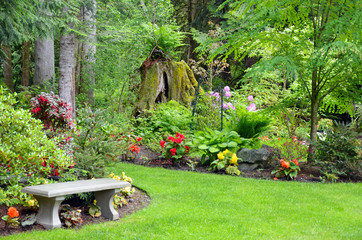 Lush green botanical garden with bench