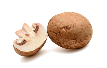 fresh mushroom on a white background