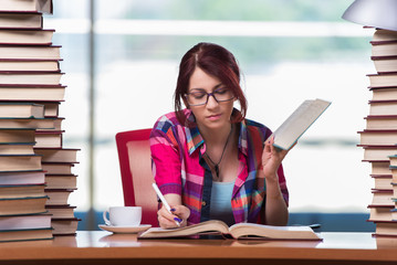 Young woman student preparing for college exams