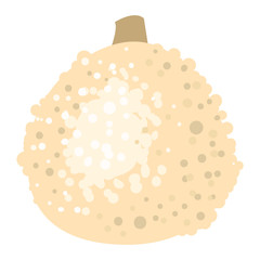 Pumpkin vector illustration isolated