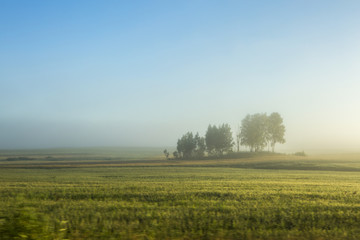 Obraz na płótnie Canvas Туманное утро. Вид из окна машины. Зеленая трава, деревья, все в тумане. Чистое небо без облаков