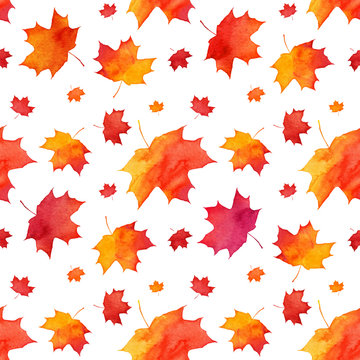 Watercolor painted red autumn maple leaves pattern
