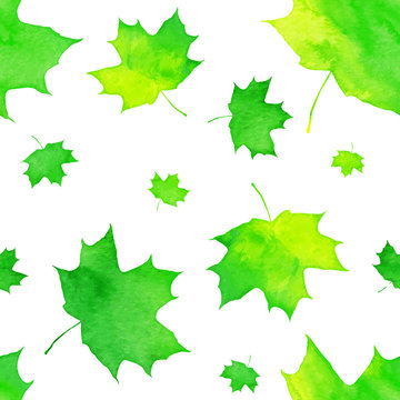 Watercolor painted green maple leaves pattern