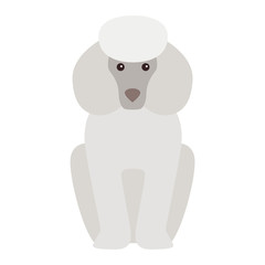 Flat dog pet sitting cute dog vector. Flat dog animal pet vector illustration. Home cute sitting dog flat style. Dog vector silhouette isolated on white background