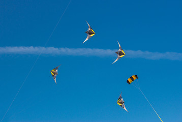 5 kites in the sky