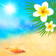 Fototapeta na wymiar Sunny summer beach with shell and flowers