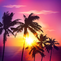 Obraz na płótnie Canvas Palm silhouettes on summer sunset
