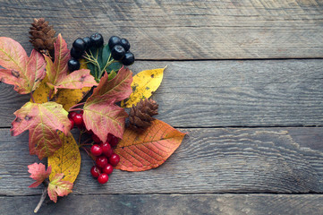 Obraz premium Autumnal plant and berries on wooden background. Top view