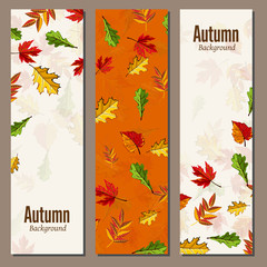 Banners set of autumn leaves vector illustration. Background with hand drawn autumn leaves. Design elements. Autumn leaves fall on banner.