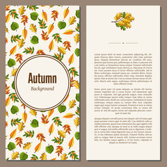 Fototapeta premium Banners set of autumn leaves vector illustration. Background with hand drawn autumn leaves. Design elements. Autumn leaves fall on banner.