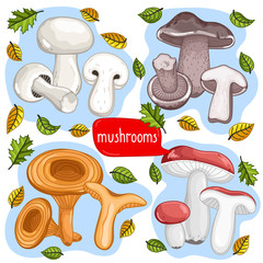 Different types of mushrooms set isolated on white background vector illustration