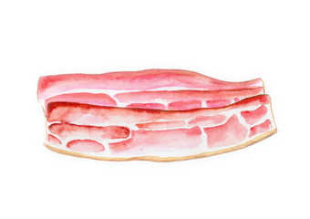 Bacon, Watercolor painting isolated on white background