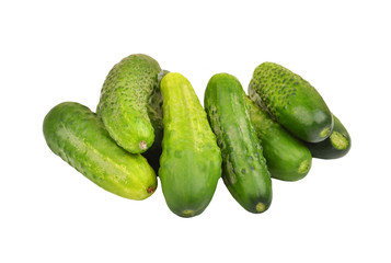 Green cucumber gherkin