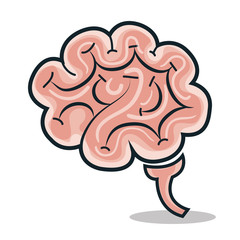 brain human smart icon