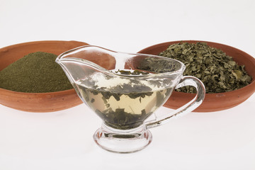 moringa infusión medicinal plant 