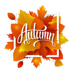 Fototapeta premium Autumn leaves lettering label. Vector hand drawn typography on a fall leaves background