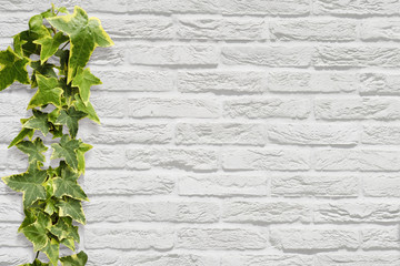 white brick green ivy