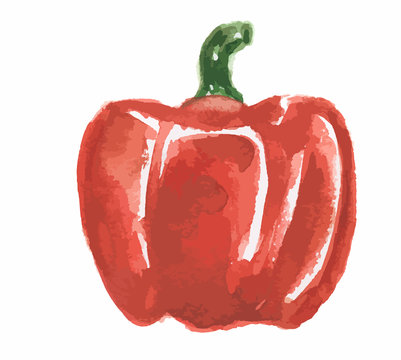 Isolated watercolor pepper on white background