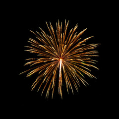 Obraz premium Colorful fireworks of various colors over night sky - Vibrant c