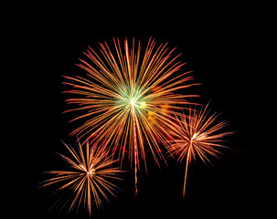 Fototapeta premium Colorful fireworks of various colors over night sky - Vibrant c