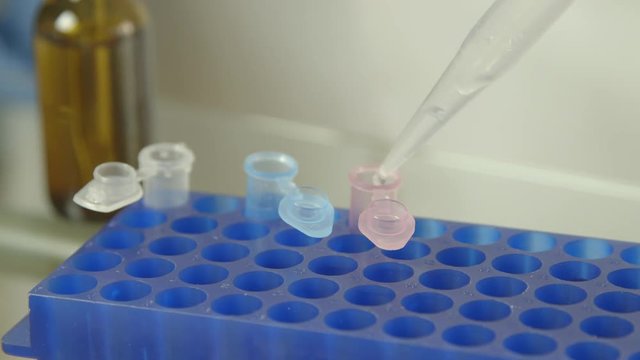 Laboratory scene of samples being placed in vials and prepared with solution for testing.