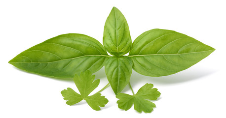 Basil and parsley