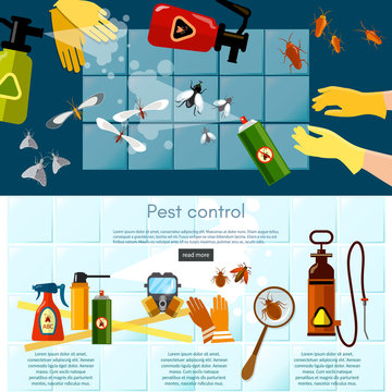 Pest control services detecting exterminating insects banner