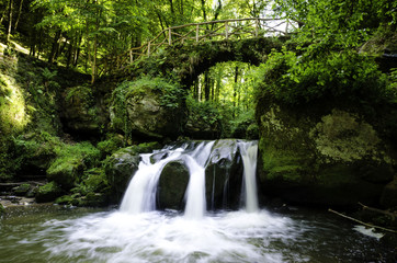 Fototapeta premium Mullerthal bridge