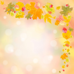 Obraz na płótnie Canvas Autumn background 010
