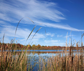 Marshy Lake In Autumn