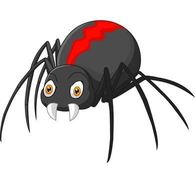 Angry spider cartoon