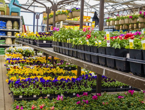 Home And Garden Store In Spring