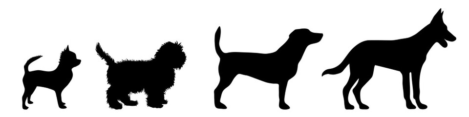 Vector illustration of dog.