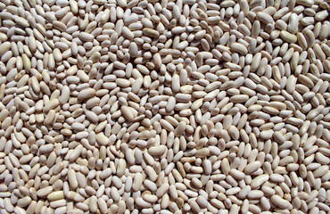 White beans as a background image